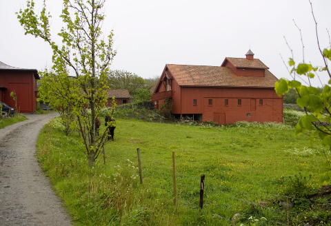 VESTFOLDIDYLL: Røvik Gård i Stavern har blant annet vært åsted for Odd Nerdrums malekurs i flere år. FOTO:TORBJØRN BERG/DAGBLADET VESTFOLDIDYLL: Røvik Gård i Stavern har blant annet vært åsted for Odd Nerdrums malekurs i flere år. FOTO:TORBJØRN BERG/DAGBLADET