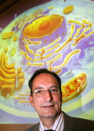 MÅ BESKYTTES: Det trengs klarere regelverk rundt private gentester, og spesielt barna må beskyttes, mener Lars Ødegård, leder i Bioteknologinemnda.
Foto: Lise Åserud / SCANPIX . MÅ BESKYTTES: Det trengs klarere regelverk rundt private gentester, og spesielt barna må beskyttes, mener Lars Ødegård, leder i Bioteknologinemnda.
Foto: Lise Åserud / SCANPIX .