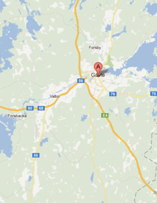 Mann (39) angrepet av bjørn i Sverige