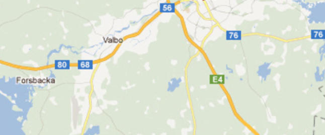 Mann (39) angrepet av bj�rn i Sverige