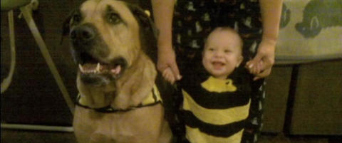 Kjemper for � redde livet til hunden som drepte lille Jeremiah (1)