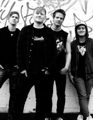 Fantastisk andreplate fra bergenspunkere