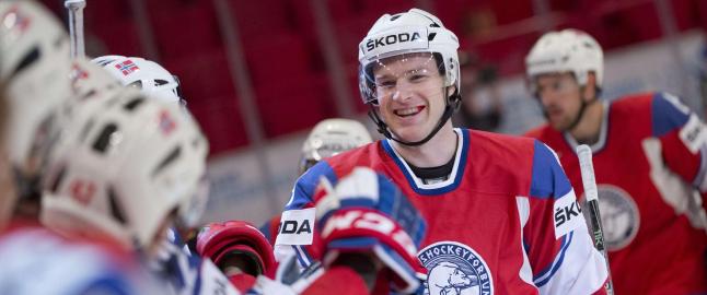 Holtet drar fra VM-laget for � f�lge konas f�dsel