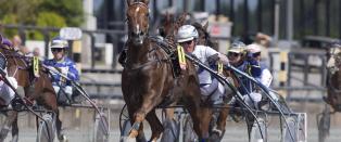 Mr Fox Trot byr opp til dans