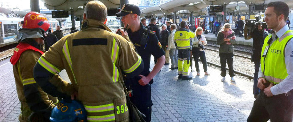 Elg i tunnelen stopper togtrafikken i Oslo