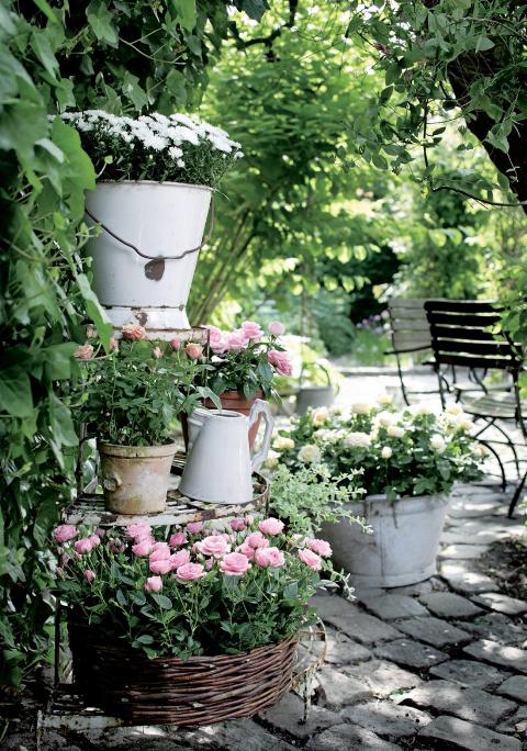 BEDRE JORD: Skal du plante i krukker og potter kreves bedre jord enn om du bare skal tilføre jord i et eksisterende bed. FOTO: Flora Dania BEDRE JORD: Skal du plante i krukker og potter kreves bedre jord enn om du bare skal tilføre jord i et eksisterende bed. FOTO: Flora Dania