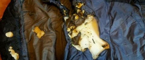 Mistenker at brann i russetelt er p�satt