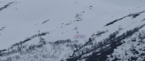 Lagde megaflagg i fjellsida for å hedre landet