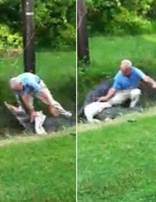 Her g�r det galt for alligatoreksperten