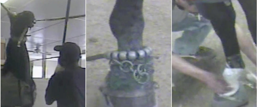 Showhestene mishandles med stokker og får etsende kjemikalier på hovene