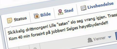 - Å blottstille barn som dette, er rett og slett sjikanøst