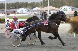 Rigges for tetkj�ring
