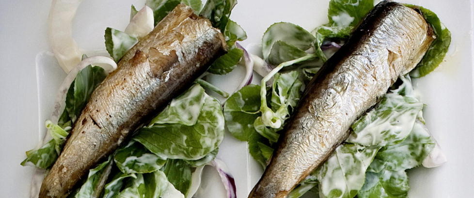 Selger norsk sild som sardiner i Brasil