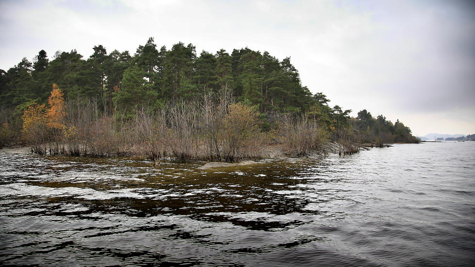 <b>SYDSPISSEN:</b> Adrian Pracon ble skutt på Sydspissen av Utøya.