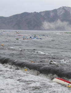 Hjernen krympet p� japanske tsunamiofre