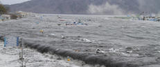 Hjernen krympet på japanske tsunamiofre
