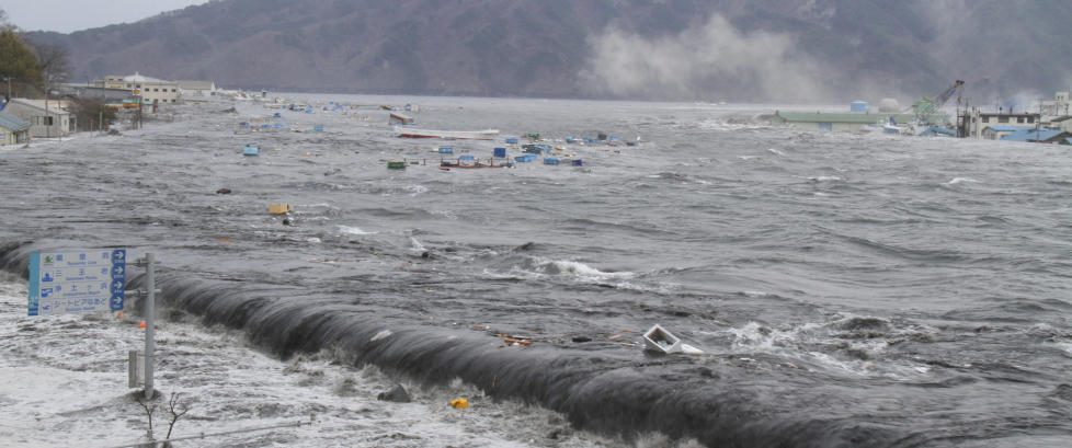 Hjernen krympet p� japanske tsunamiofre