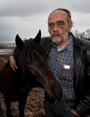 - Hestene i godt hold, eierne har ikke ressurser