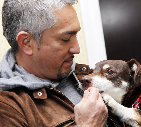 Politet reddet overopphetet hund ut av bil mens eieren h�rte p� �hundehviskeren�