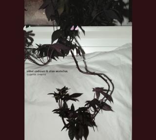 SIDSEL ENDRESEN & STIAN WESTERHUS: Lyden av et eget univers. SIDSEL ENDRESEN & STIAN WESTERHUS: Lyden av et eget univers.