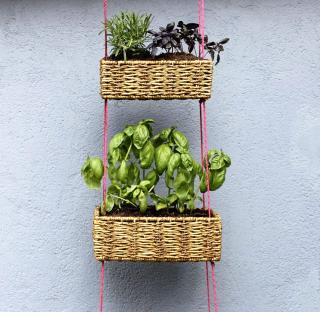 SKAP SELV: Denne blomsterpotta er bare noe av alt det spennende bloggeren bak a Beautiful Mess deler med leserne. Foto: abeautifulmess.typepad.com SKAP SELV: Denne blomsterpotta er bare noe av alt det spennende bloggeren bak a Beautiful Mess deler med leserne. Foto: abeautifulmess.typepad.com