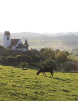 Her bor to tredeler av Europas rikeste