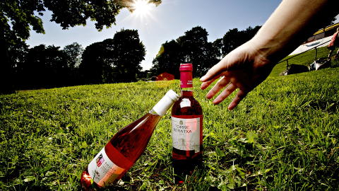ROSÉ I DET GRØNNE: Perfekt til sommerens piknik. Vinene på bildet er ikke med i testen. Foto: KRISTIAN RIDDER-NIELSEN ROSÉ I DET GRØNNE: Perfekt til sommerens piknik. Vinene på bildet er ikke med i testen. Foto: KRISTIAN RIDDER-NIELSEN