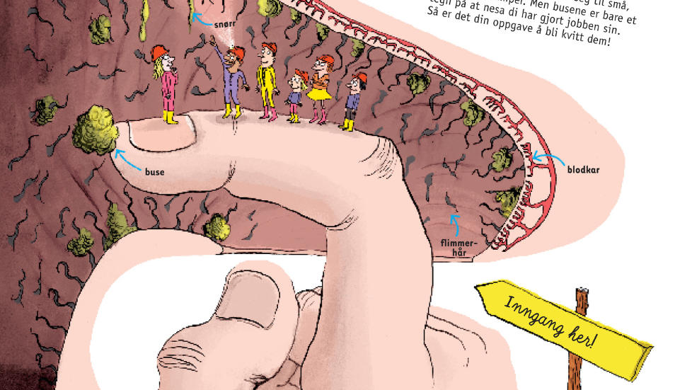 T�FFE TEGNINGER: �Au! Promp! Atsjo!� forteller kort og informativt om alt det rare som skjer i kroppen. Utsnitt fra boka