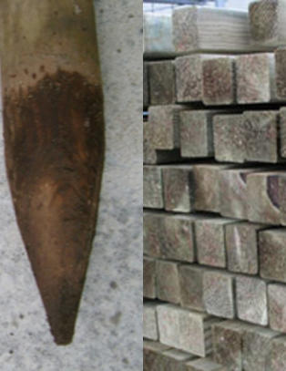 15 �rs testing viser hvilket treslag som holder seg best