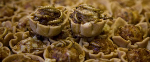 Kj�ttboller lagd av mark og kveldssnacks av friterte gresshopper og maur