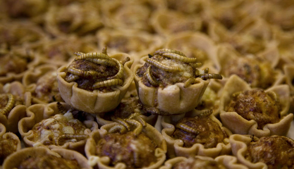 MELBILLELARVER: Dette er quich med melbillelarver.  Foto: FOOD-INSECTS/REUTERS/Jerry Lampen/NTBScanpix