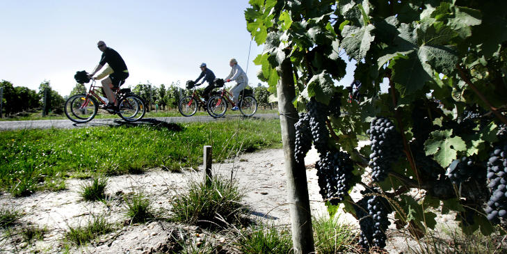 FLATT: Bordeaux har hentet fram sin fordums storhet. Vinområdene ligger i et flatt landskap, som er godt egnet for sykling. Foto: GEIR BØLSTAD FLATT: Bordeaux har hentet fram sin fordums storhet. Vinområdene ligger i et flatt landskap, som er godt egnet for sykling. Foto: GEIR BØLSTAD