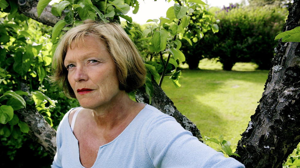 NYDELIG BOK: Wenche-Britt Hagabakkens nyeste roman er en dempet perle. Foto: Torbj�rn Gr�nning/Dagbladet