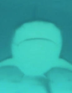 Mora som lot dattera (5) sv�mme med haier: - Livet er for kort