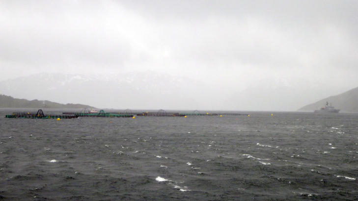 OPPDRETTSANLEGGET: Mærene og oppdrettsanlegget i Kufjorden der ulykkesbåten var stasjonert, og også gikk ned.
Foto: Redningsskøyta Ulabrand / NTB scanpix OPPDRETTSANLEGGET: Mærene og oppdrettsanlegget i Kufjorden der ulykkesbåten var stasjonert, og også gikk ned.
Foto: Redningsskøyta Ulabrand / NTB scanpix