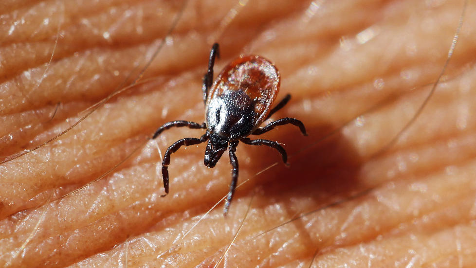 FL�TTANGST: Medias dekning av fl�tt gir i beste fall en skjev fremstilling av sannheten og kan p�f�re mange en urimelig stor frykt, skriver innsenderne.

Foto: Erlend Aas / NTB scanpix