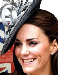 Fremstiller Kate som en «forråtnelse» for monarkiet