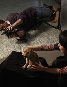 Tar hjerteskj�rende bilder av d�dsd�mte hunder minutter f�r de avlives