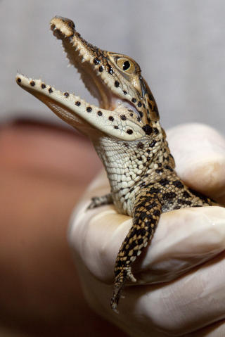 Foto: Jacquelyn Martin / AP Photo / NTB Scanpix Foto: Jacquelyn Martin / AP Photo / NTB Scanpix