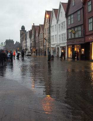 Rekordv�t Bergensnatt