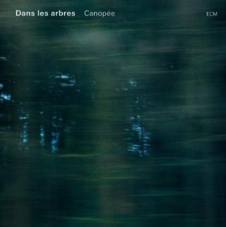 DANS LES ARBRES: Original klangreise på sterkt andrealbum. DANS LES ARBRES: Original klangreise på sterkt andrealbum.