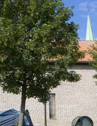 Romfolket har forlatt Nidarosdomen