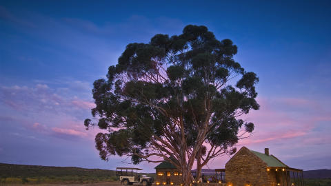 BEST P� MAT:  Hotellet Bushman's Kloof i S�r-Afrika ble k�ret til hotellet med best mat. Foto: Bushman's Kloof