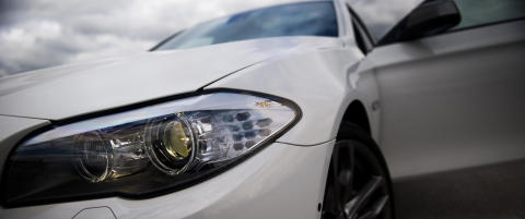 Dette er en isbj�rn i en verden full av pandaer