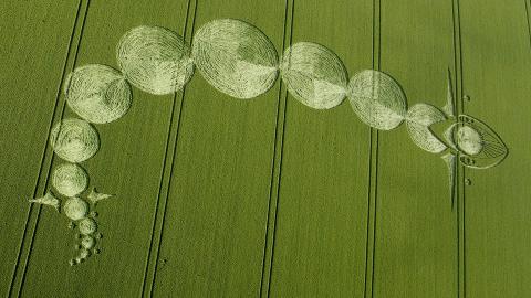 AVANSERT: De fleste kornsirkler finnes i S�r-England. Denne, med en form som Venuspassasjen, dukket opp i Wiltshire 27. juni i �r. Foto: SWNS.com / NTB Sxanpix