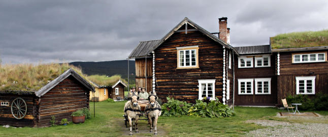 En �y uten vann ligger midt i skogen