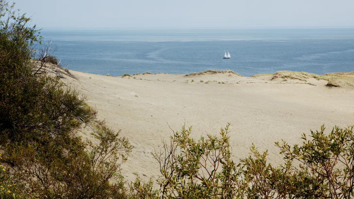 «EUROPAS SAHARA»: Den Kuriske Landtunge i Litauen har Europas høyeste sanddyner og har derfor fått navnet «Europas Sahara».
Foto: Nina Hansen / Dagbladet «EUROPAS SAHARA»: Den Kuriske Landtunge i Litauen har Europas høyeste sanddyner og har derfor fått navnet «Europas Sahara».
Foto: Nina Hansen / Dagbladet