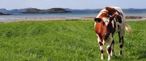 Dette er et eldorado for en av de raskest voksende turistn�ringene i verden