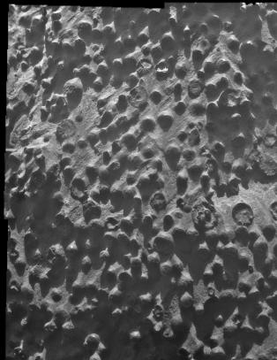 - Dette bildet er ekstraordin�rt