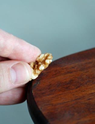 Denne ripen ble fjernet med en valn�tt